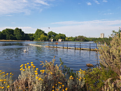 Advanced water quality monitor installed in the Serpentine